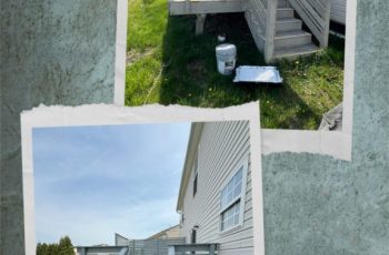 FEAE4E1A-88EA-4835-ACEA-F72183CB8E7E-COLLAGE
